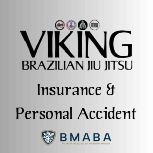 Standard Insurance + Personal Accident